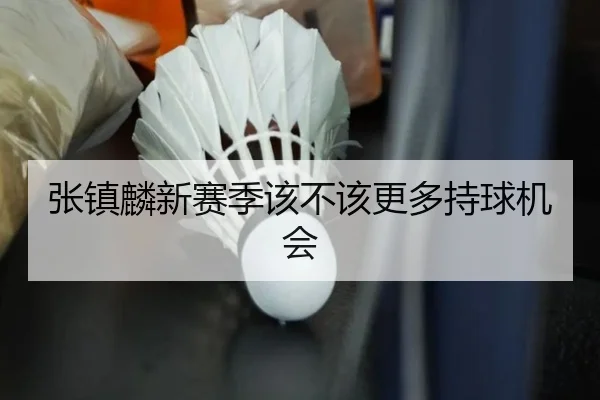 张镇麟新赛季该不该更多持球机会
